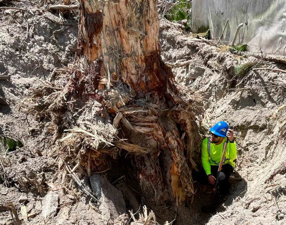 excavation service 1