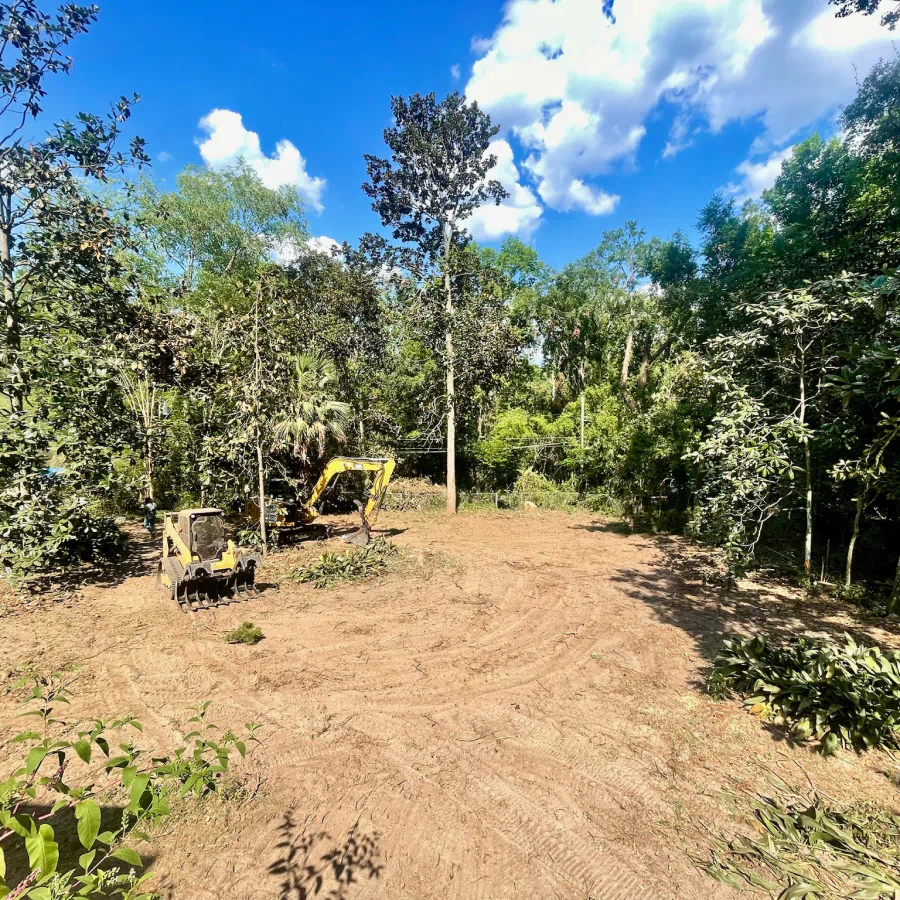 land clearing service