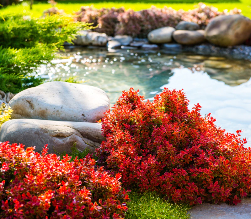 full-service landscape contractor serving Lake Mary and Central Florida