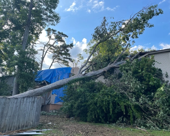 storm damage - Emergency Tree Removal