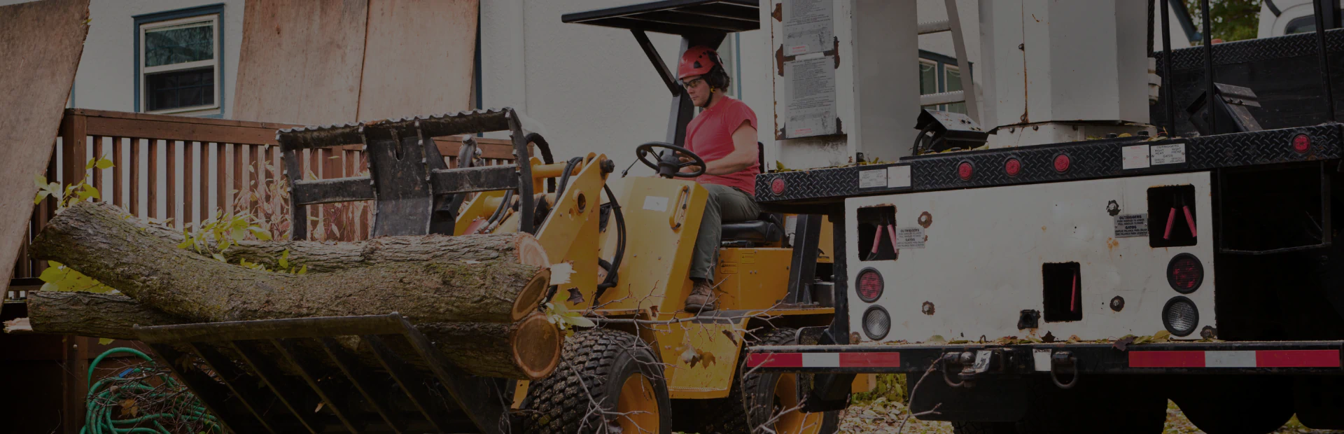 Commercial Tree Services breadcrumb