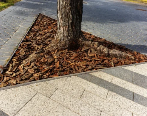 Root Raking & Root Barrier Installation