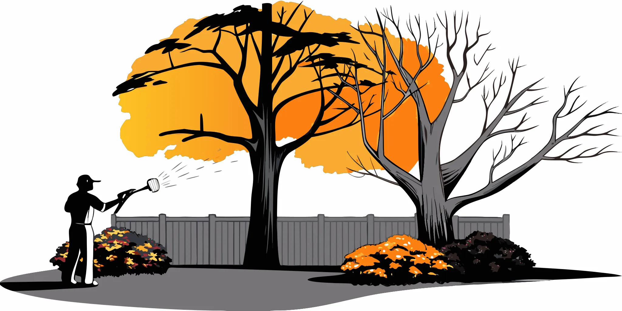 dead tree removal a homeowners complete guide 687163