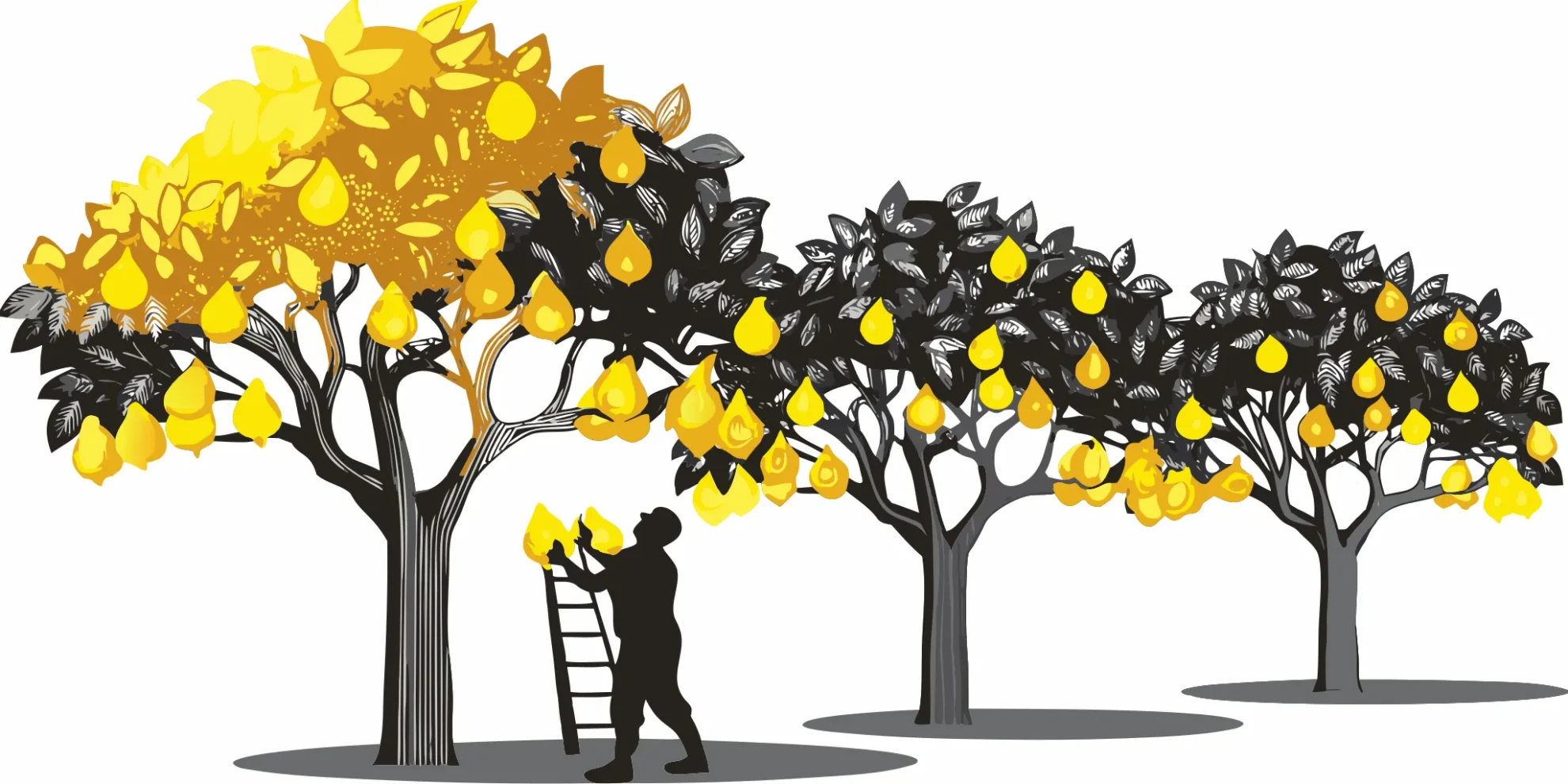 the best time to prune fruit trees for a big harvest 897687