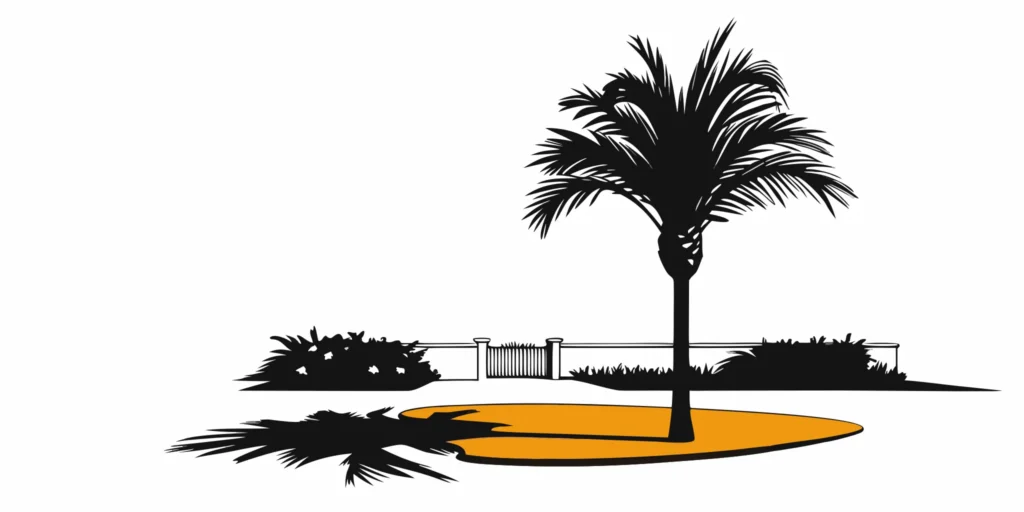 your guide to affordable palm tree trimming 141175