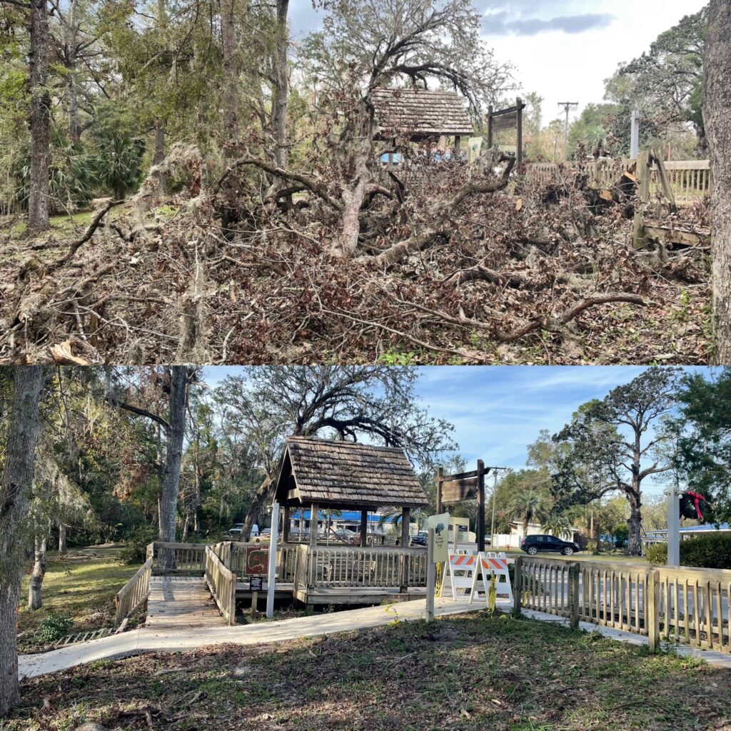 Before and after hurricane cleanup by DeAngelos Land Services in Central Florida