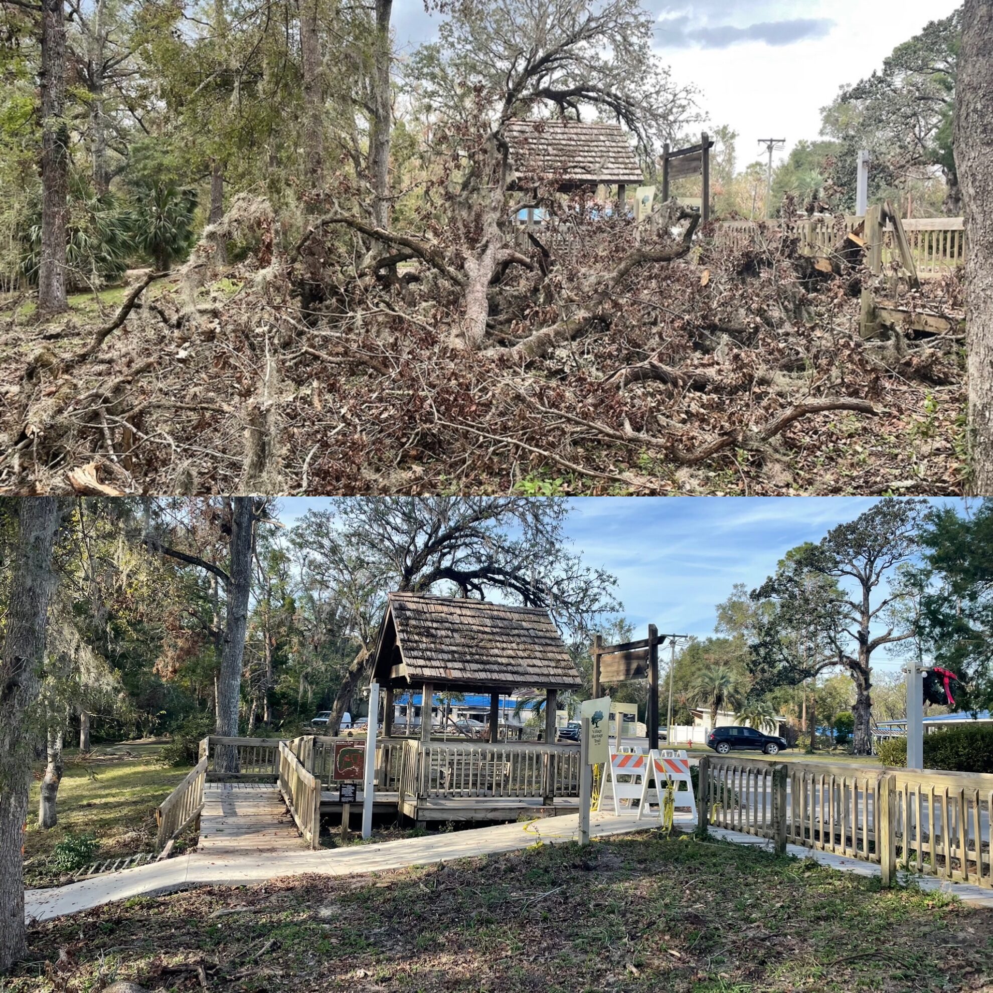 Before and after hurricane cleanup by DeAngelos Land Services in Central Florida