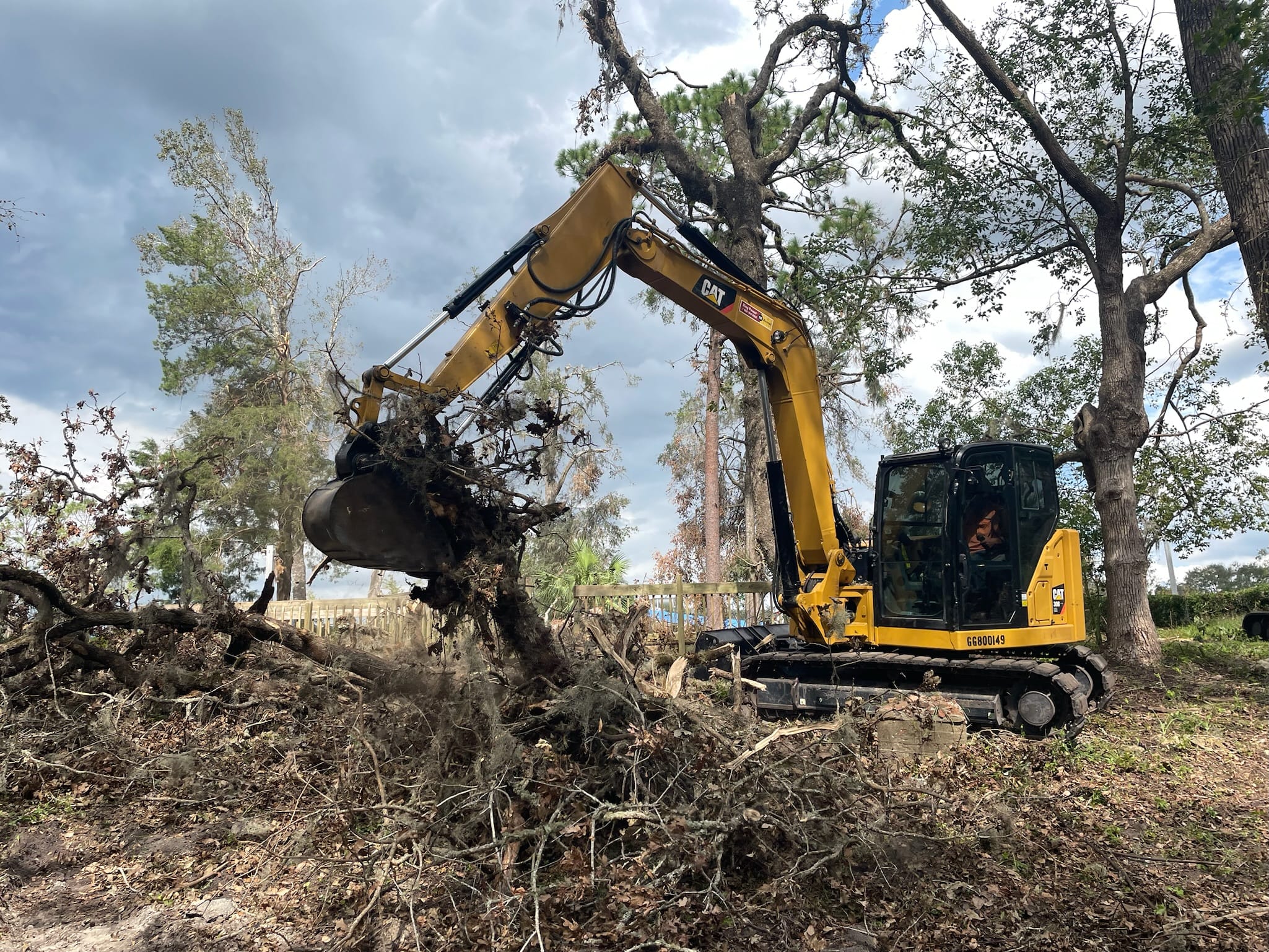 CAT mini-excavator with thumb grapple clearing brush and root debris in a Florida oak hammock.