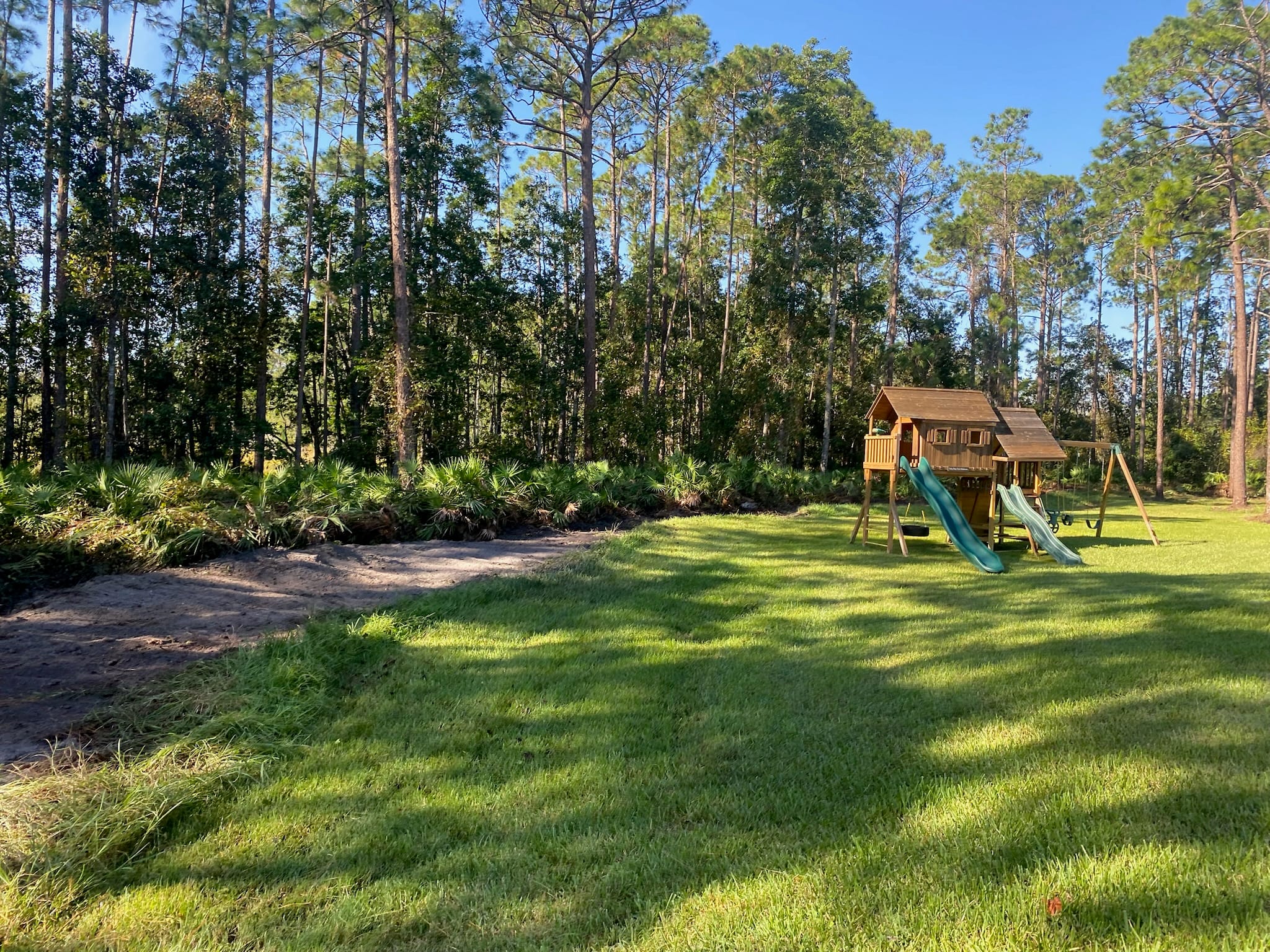 Cleared backyard with playset, saw palmettos and slash pine woodline in Central Florida