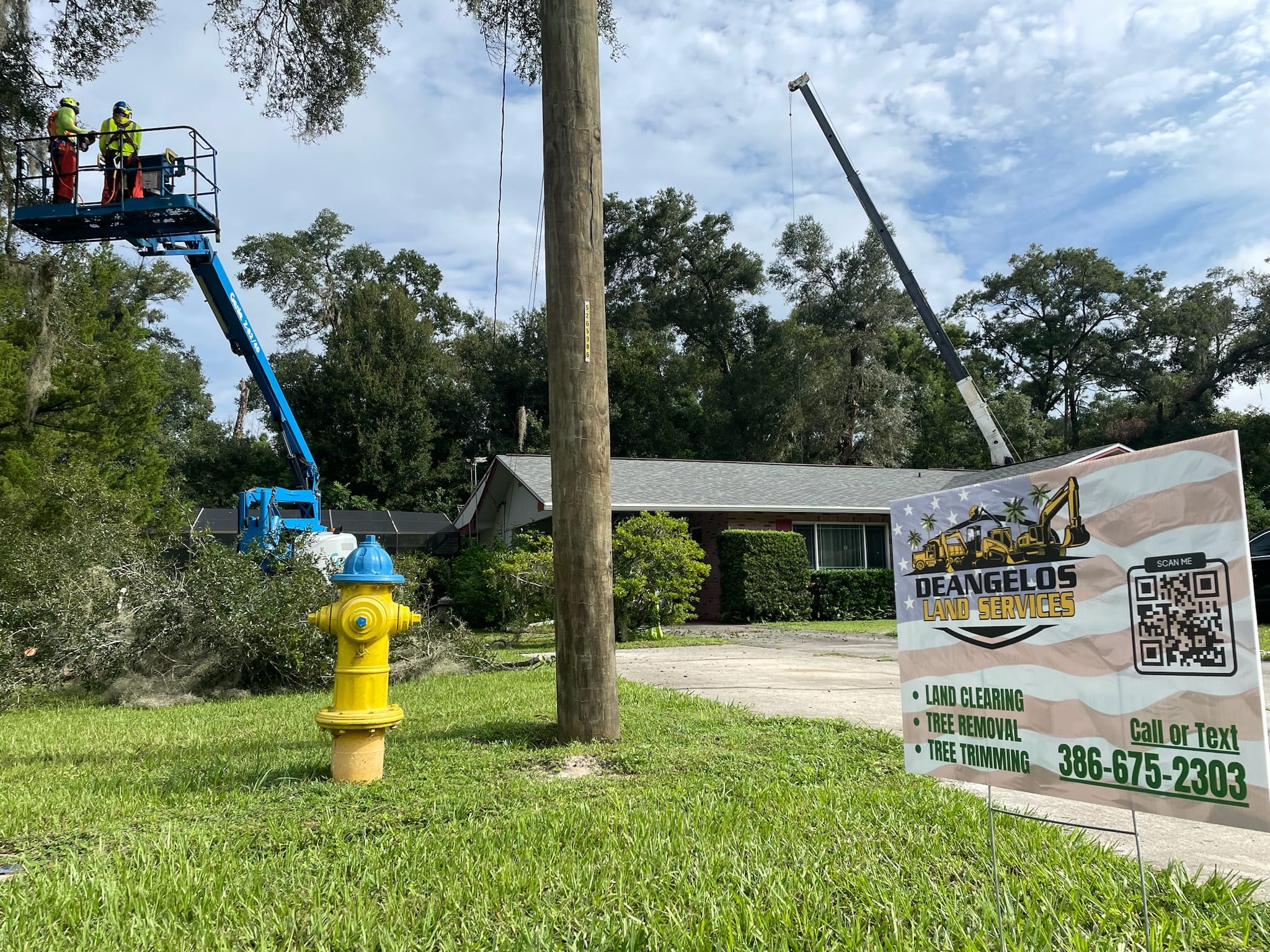 Wsr Sign Tree Services Heathrow, FL | 10% Veteran Discount