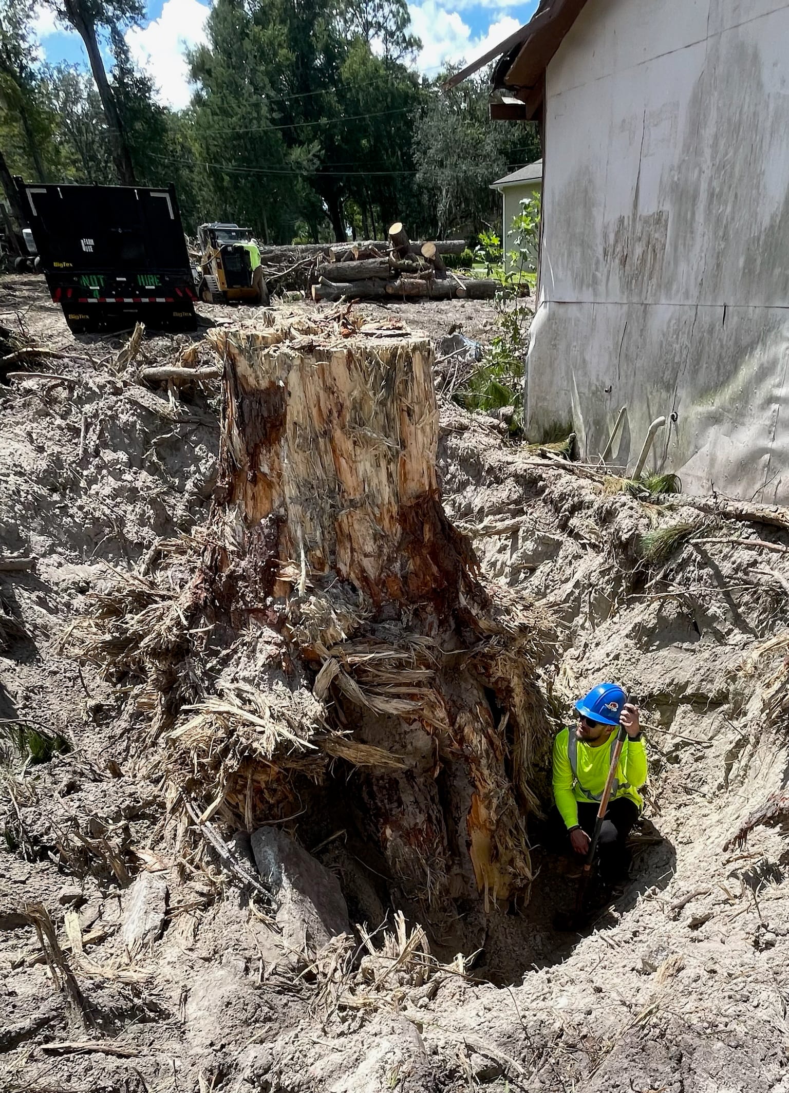 DeAngelos crewman dwarfed by a massive excavated tree stump in a Volusia County yard.