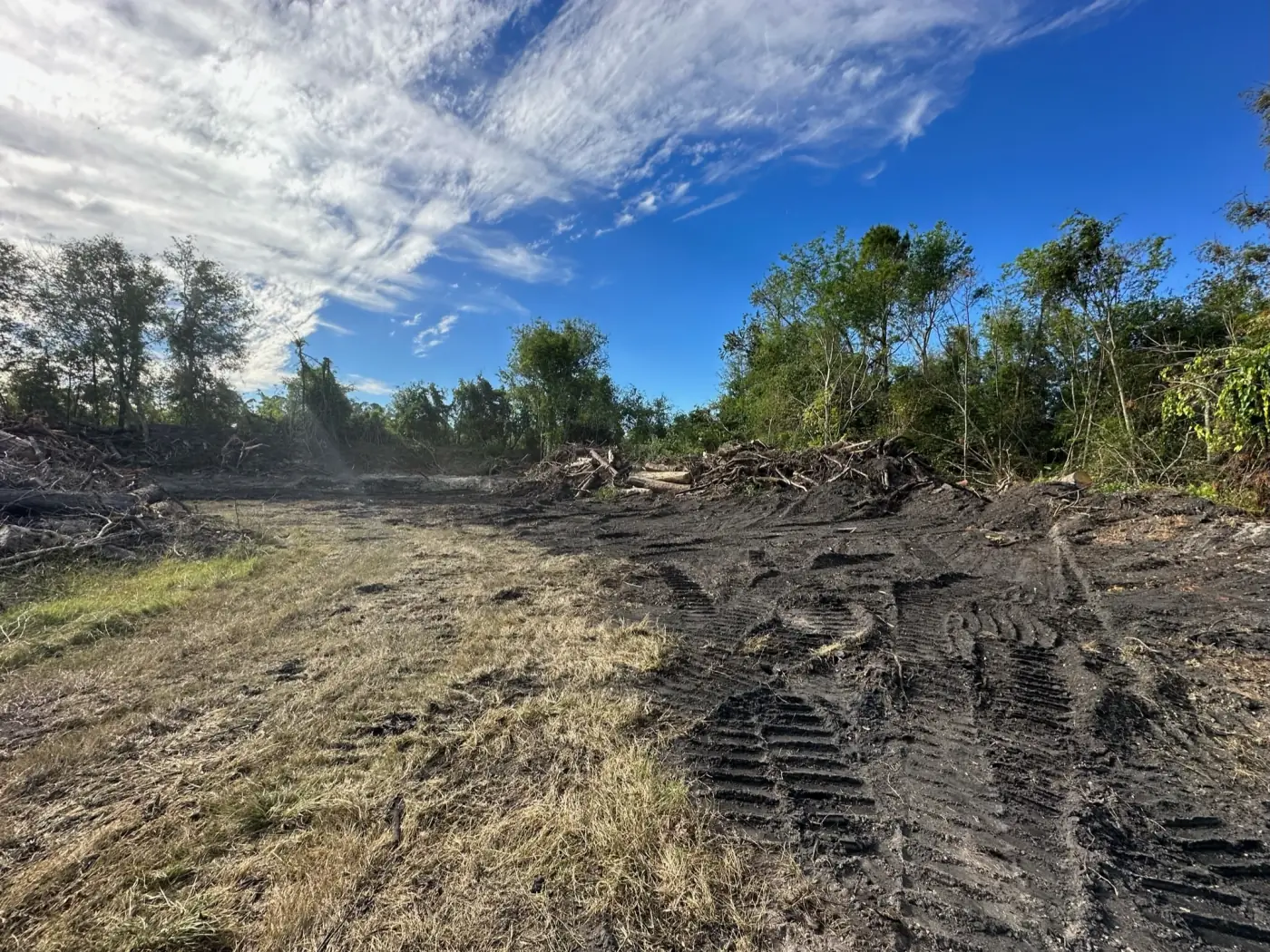 Forestry mulcher clearing a wooded residential lot in Sanford, FL
