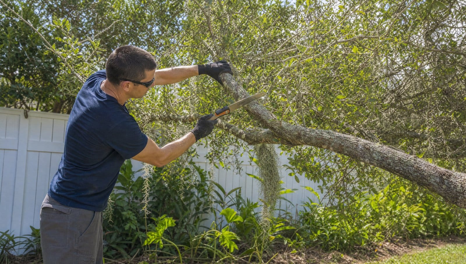 Person safely cutting a low tree branch with a pruning saw in a Central Florida yard