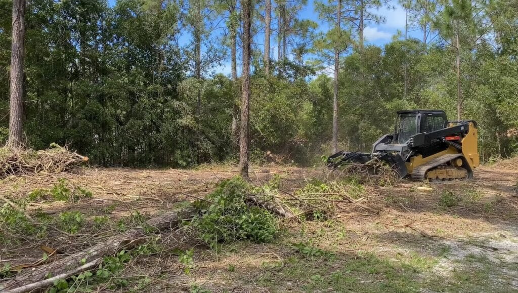Overgrown wooded lot being cleared with equipment in Deltona Florida