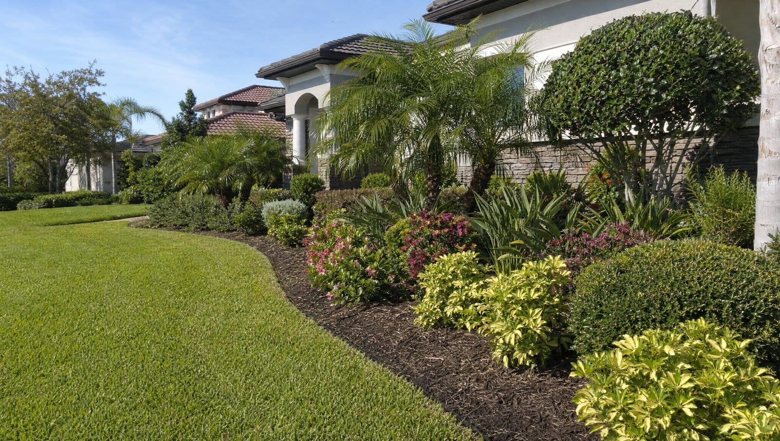 Professionally landscaped Central Florida front yard with layered plantings and mulch beds