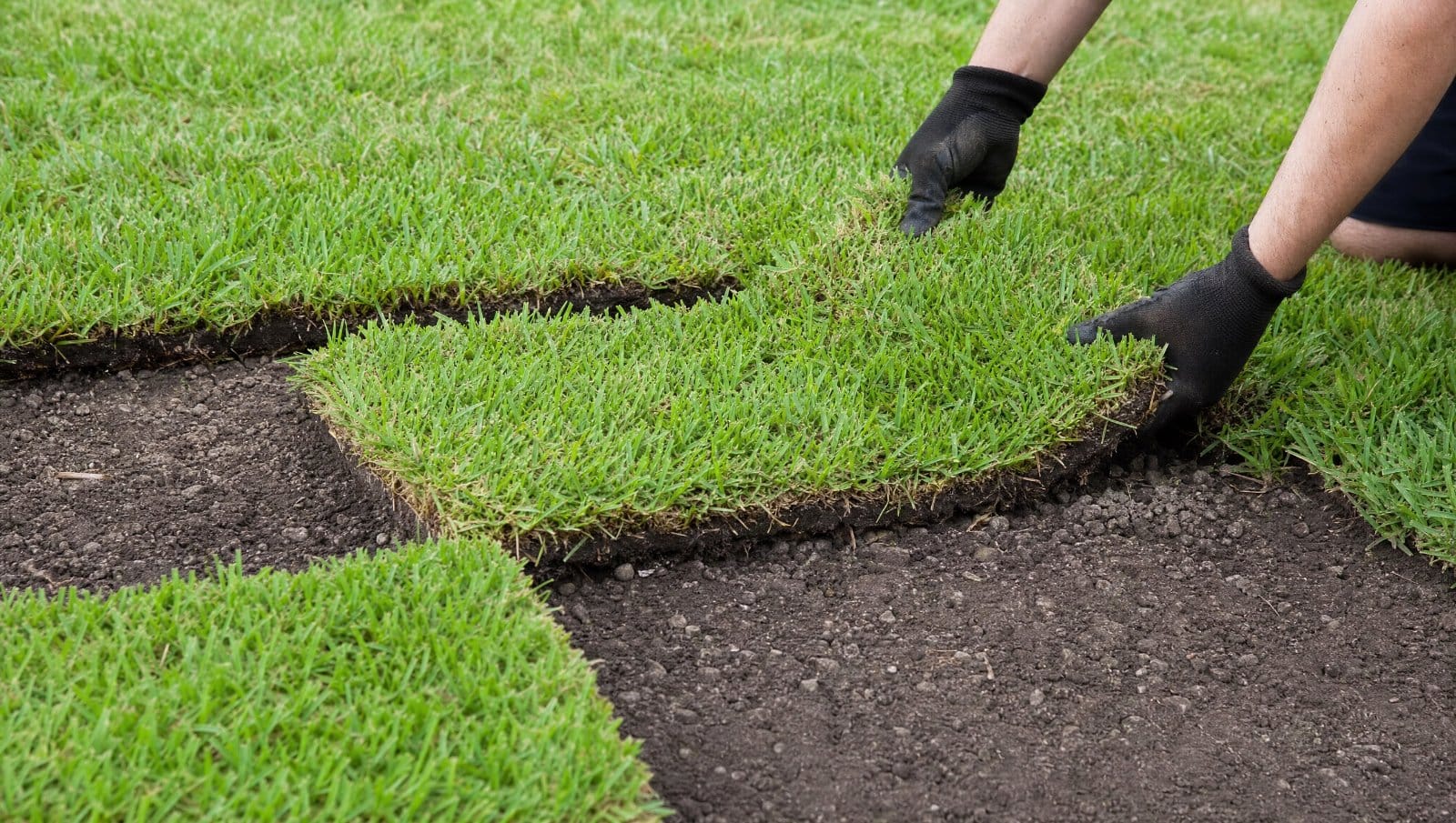 Green sod patches being fitted into bare spots of a Florida lawn