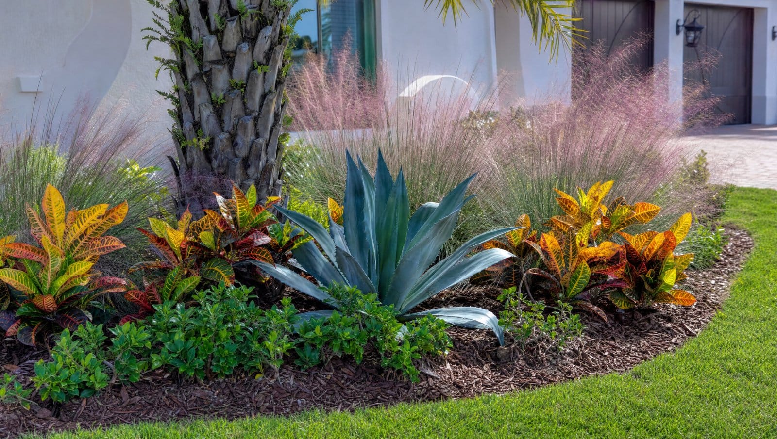 Low-maintenance Central Florida landscape bed with drought-tolerant muhly grass, agave and crotons