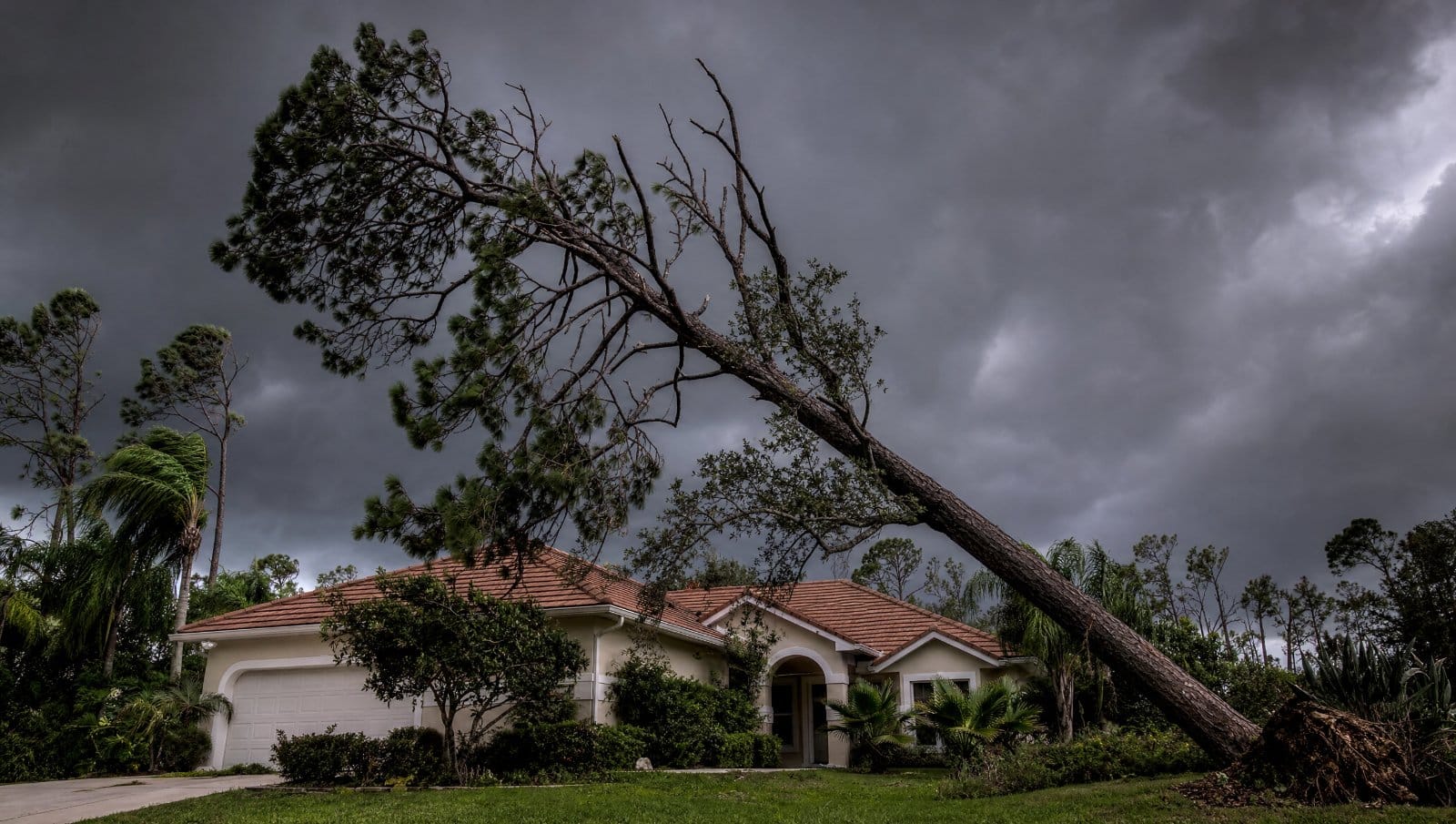 Large leaning tree with dead branches over a Florida house under a pre-storm sky