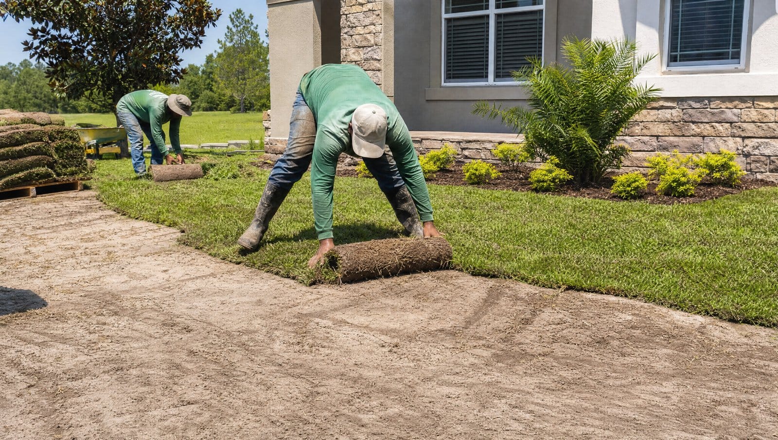 Crew laying fresh green sod rolls across a prepared Central Florida yard