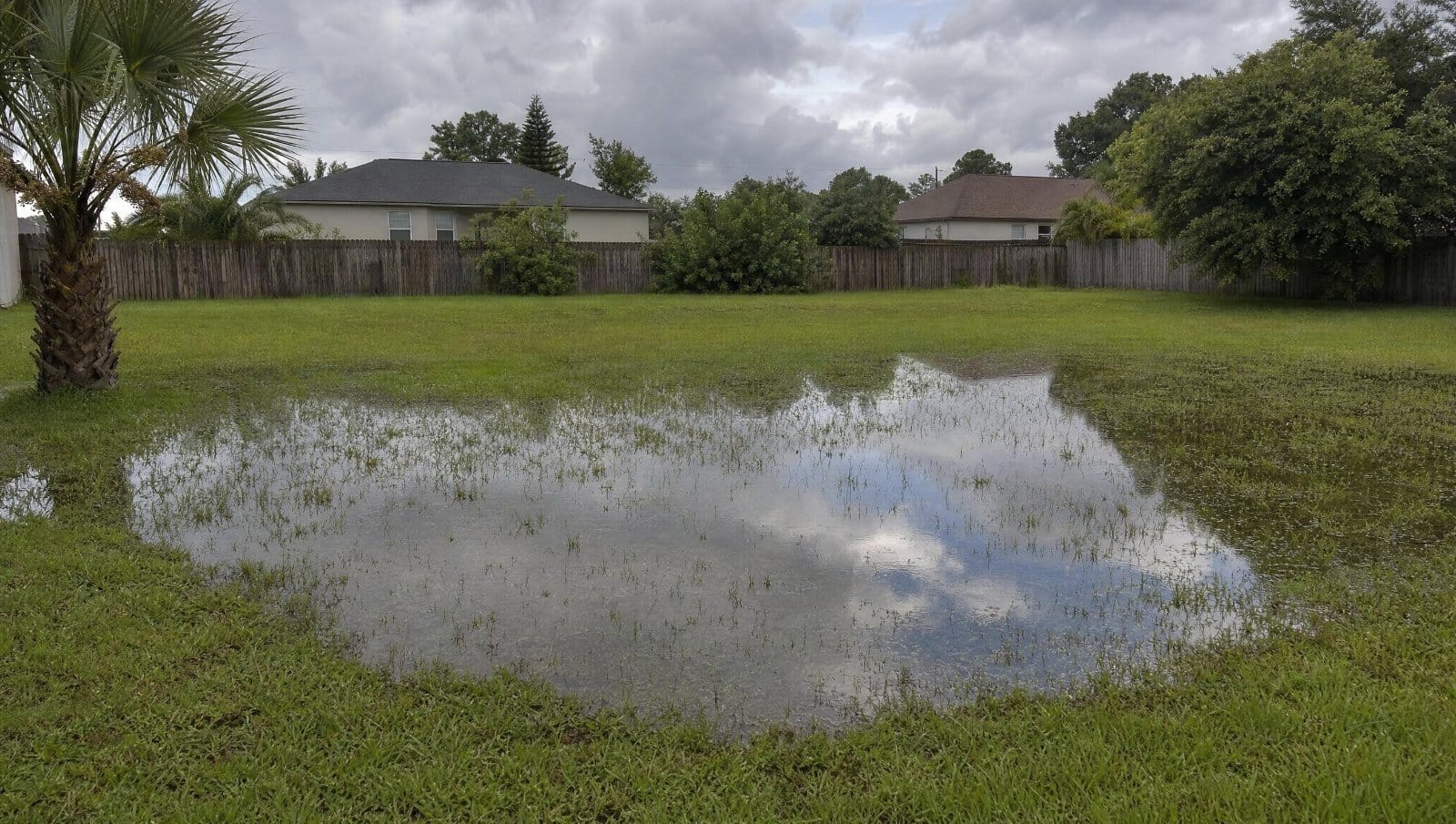 Large puddle of standing water on a Florida backyard lawn after heavy rain