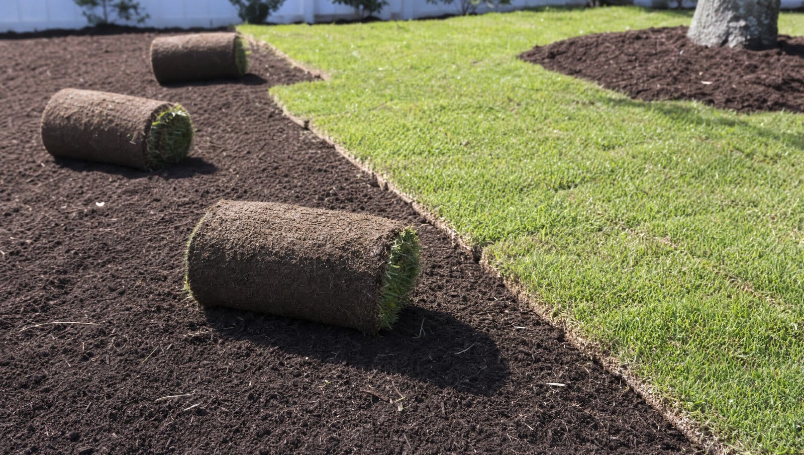 Fresh green sod rolls being laid over prepared soil in a Central Florida yard