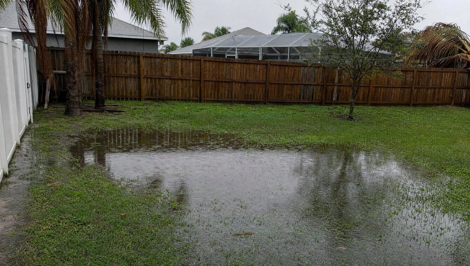 Waterlogged Florida backyard with poor drainage and standing water near a fence