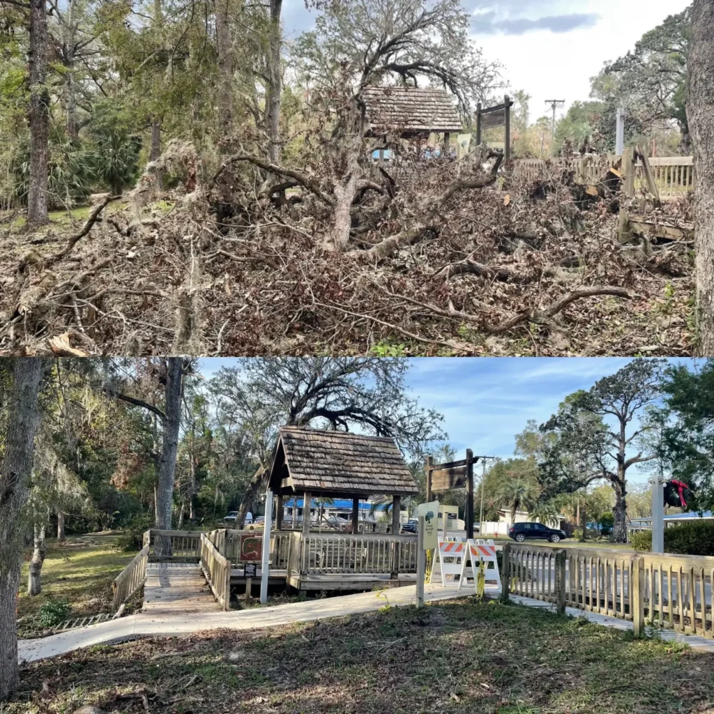 Before and after hurricane cleanup by DeAngelos Land Services in Central Florida