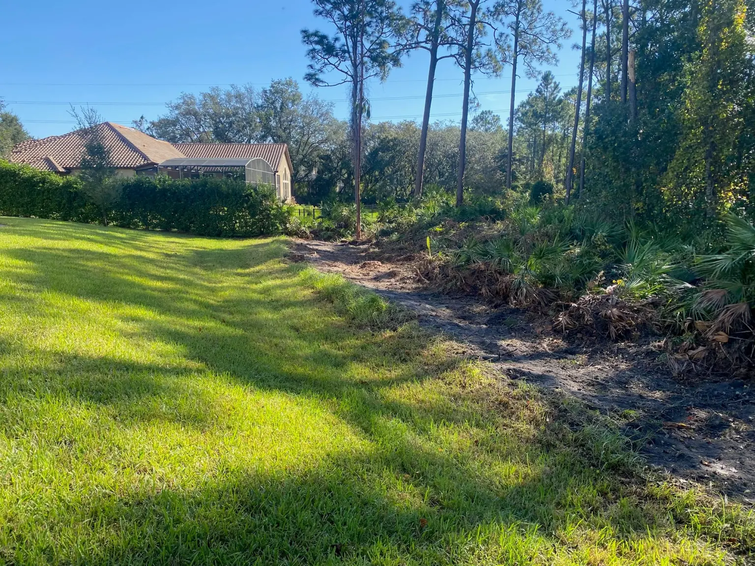 Cleared and designed yard with preserved pines beside a tile-roof Central Florida home — landscape design installation services