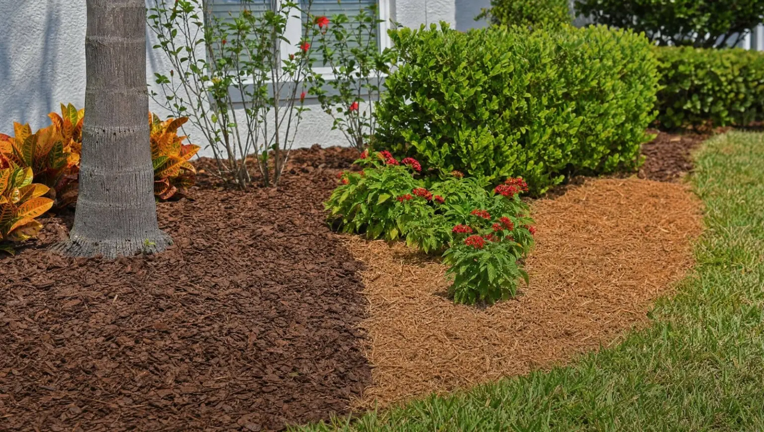 Different mulch types in tidy Central Florida garden beds